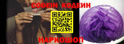 индика Можайск